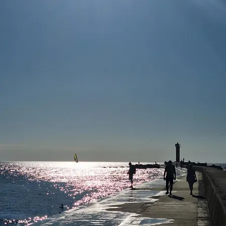 Heart Of Natural Park, Sea And River Riga